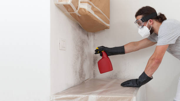 Professional Mold Testing technician working in Washington, VA