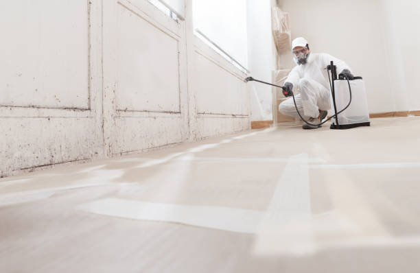 24/7 Emergency Mold Testing experts in Washington, VA