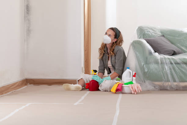 Reliable Mold Remediation contractor in Washington, VA by Cheap Mold Removal