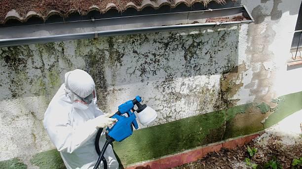 Trusted Mold Testing service in Washington, VA - Cheap Mold Removal